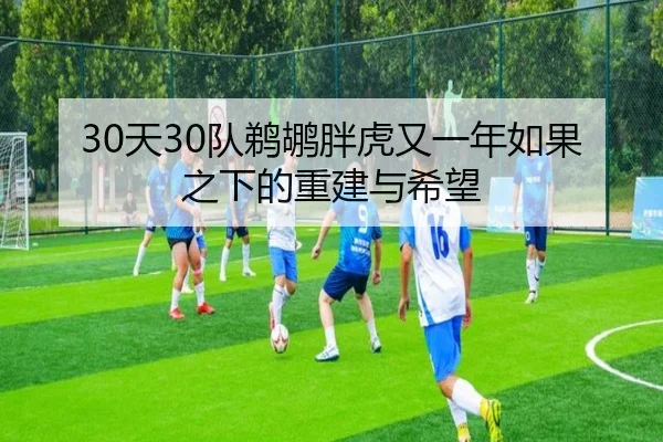 30天30队鹈鹕胖虎又一年如果之下的重建与希望 | LDsports